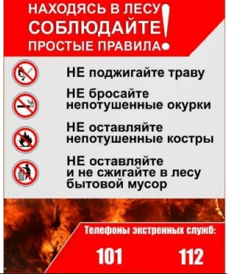 С 15 апреля в Шумихинском муниципальном округе введён особый противопожарный режим.